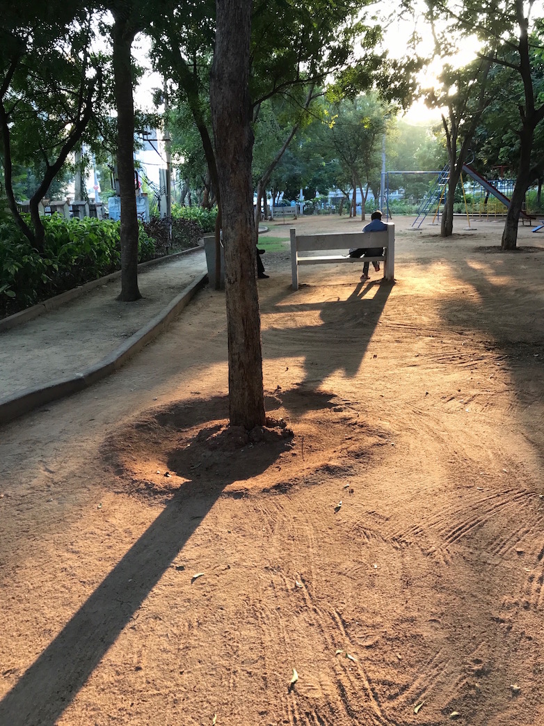 iPhone 7 Plus Daylight HDR