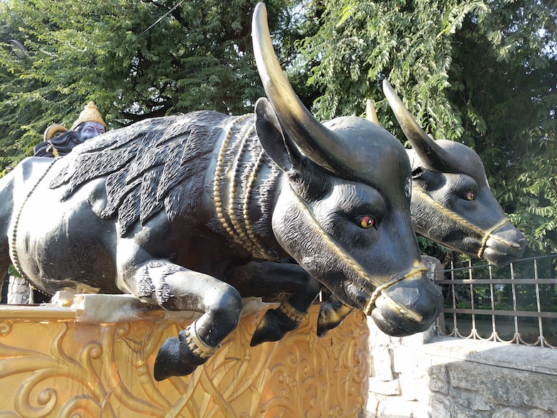 Google Pixel XL Daylight sample image
