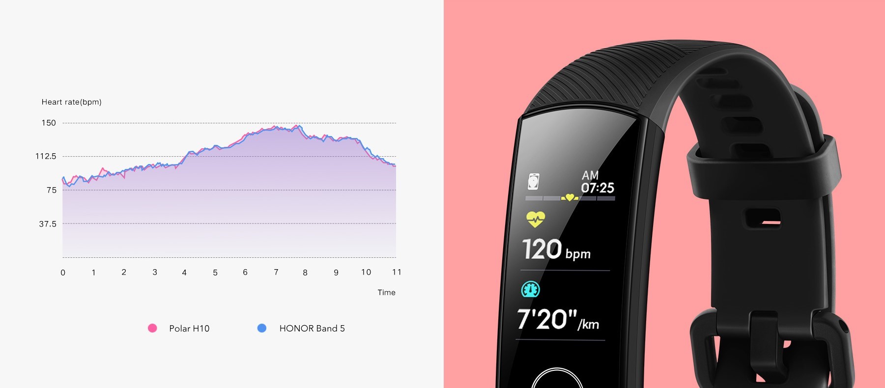 honor band 5 heart rate accuracy